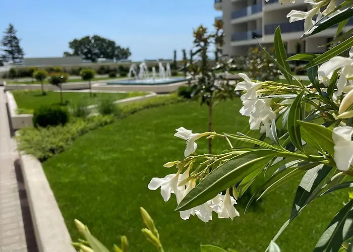 Apartment Allure-apartment *